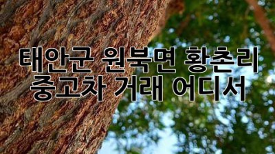 태안군 원북면 황촌리 중고차 거래, 어디서?